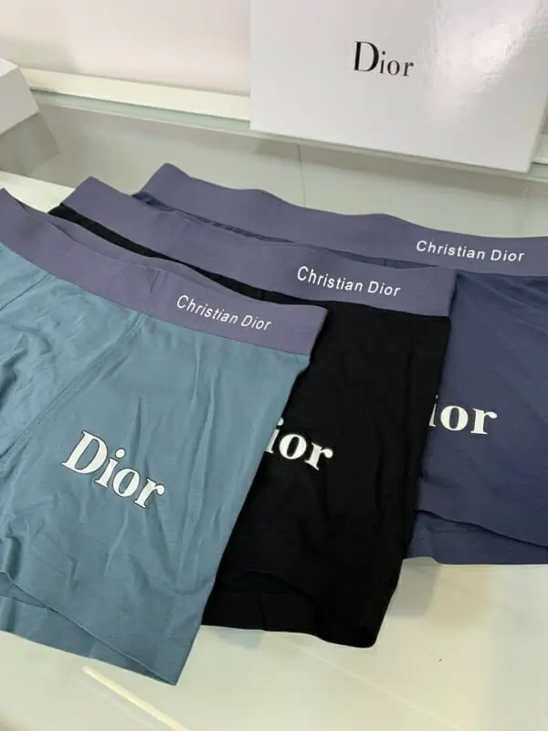 christian dior sous vetementss pour homme s_10707241